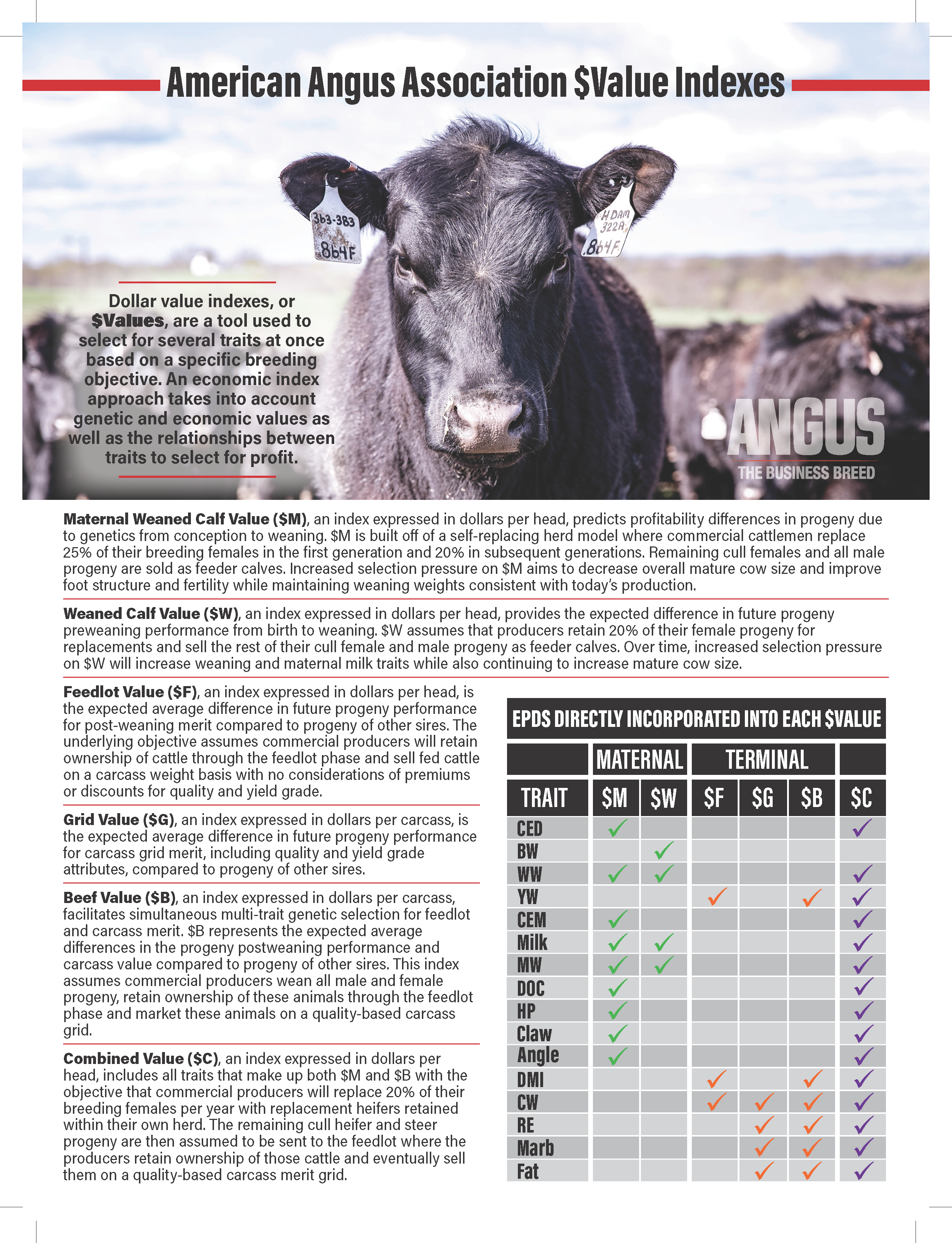 American Angus Association Value Indexes