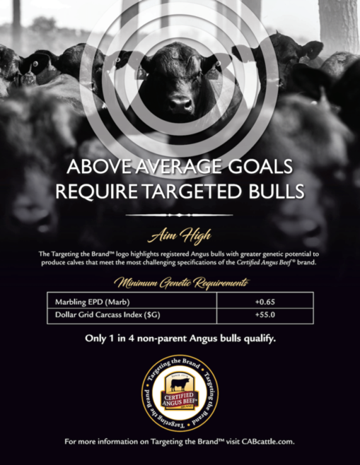 Above Average Goals Require Targeted Bulls